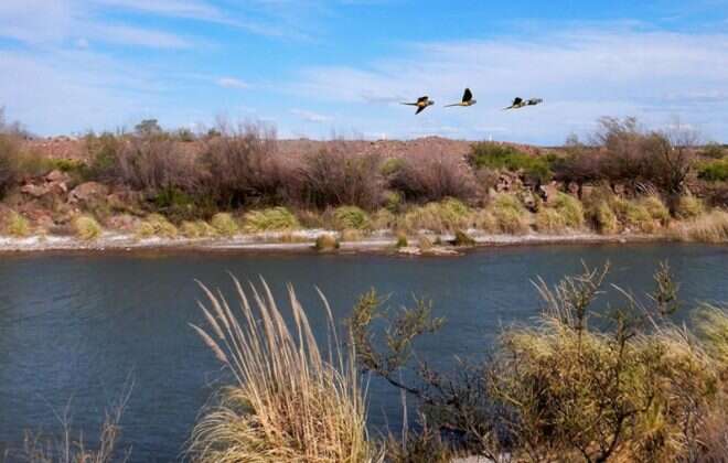 A 12 años de la Ley 2349: La sustentabilidad como Política Pública
