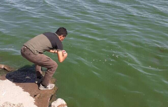 Nuevo control cualitativo del agua de la laguna Don Tomás
