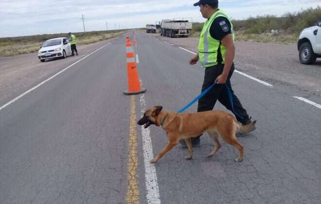 Operativo Vida en la Ruta del Desierto