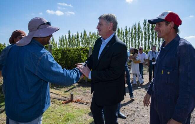 Vendimia en Casa de Piedra