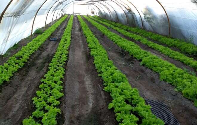 El municipio de Conhello realiza una importante contención social