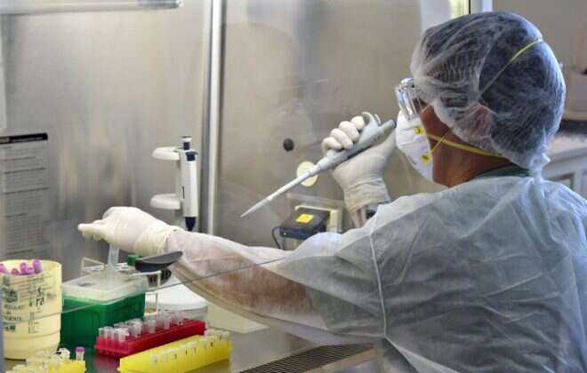 Covid-19: De las 126 muestras analizadas, 6 resultaron positivas