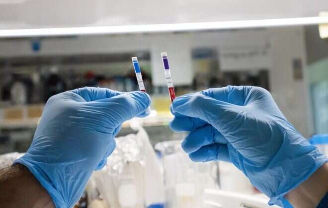 Argentina fue elegida para probar una vacuna contra el coronavirus