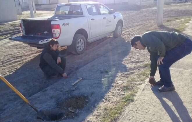 Planifican y plantan casi tres mil ejemplares de especies arbóreas en Pico y Santa Rosa