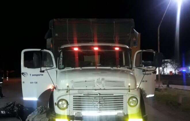 Decomisaron 1200 kilos de carne en La Adela por no cumplir con la documentación y medidas sanitarias