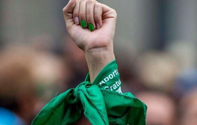 El Senado sancionó la legalización del aborto