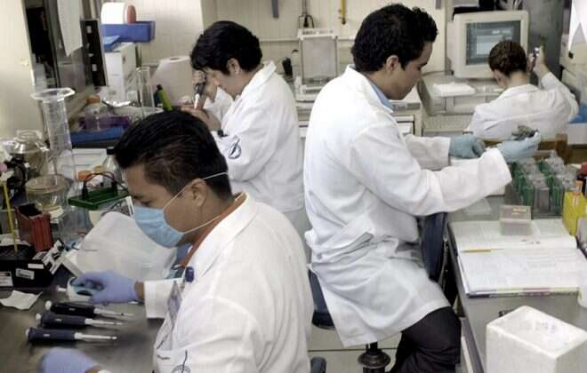 Con una nueva modalidad, relanzan el programa para repatriar a científicos en el exterior