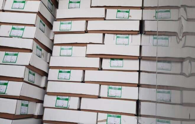 Destacan trabajo de exportación del Frigorífico de Santa Isabel