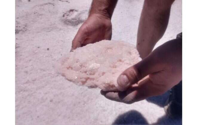 Energía y Turismo integradas por el taller “Minería en Salinas”