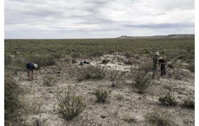 Lanzan curso de técnicas de Paleontología