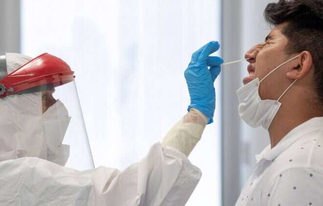 Se confirma la presencia de cepas Manaos y Andina en La Pampa