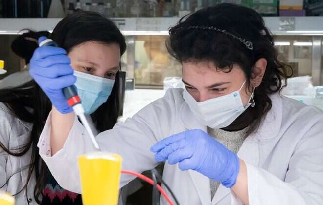 Los seis proyectos de vacunas contra el coronavirus que se desarrollan en nuestro país