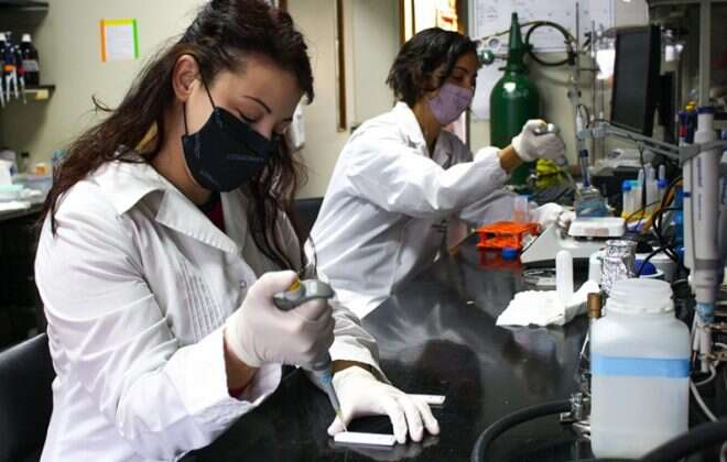 Avanzan los cuatro desarrollos nacionales de vacunas contra el coronavirus