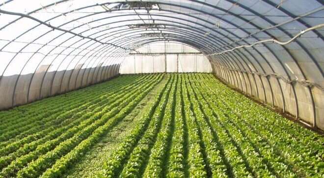 Anunciaron la XXII Jornada Hortícola del Centro Regional de Educación Tecnológica