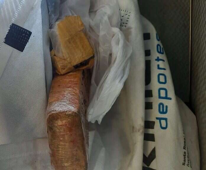 Secuestran 777 gramos de marihuana en un micro que viajaba desde Santa Rosa a General Acha