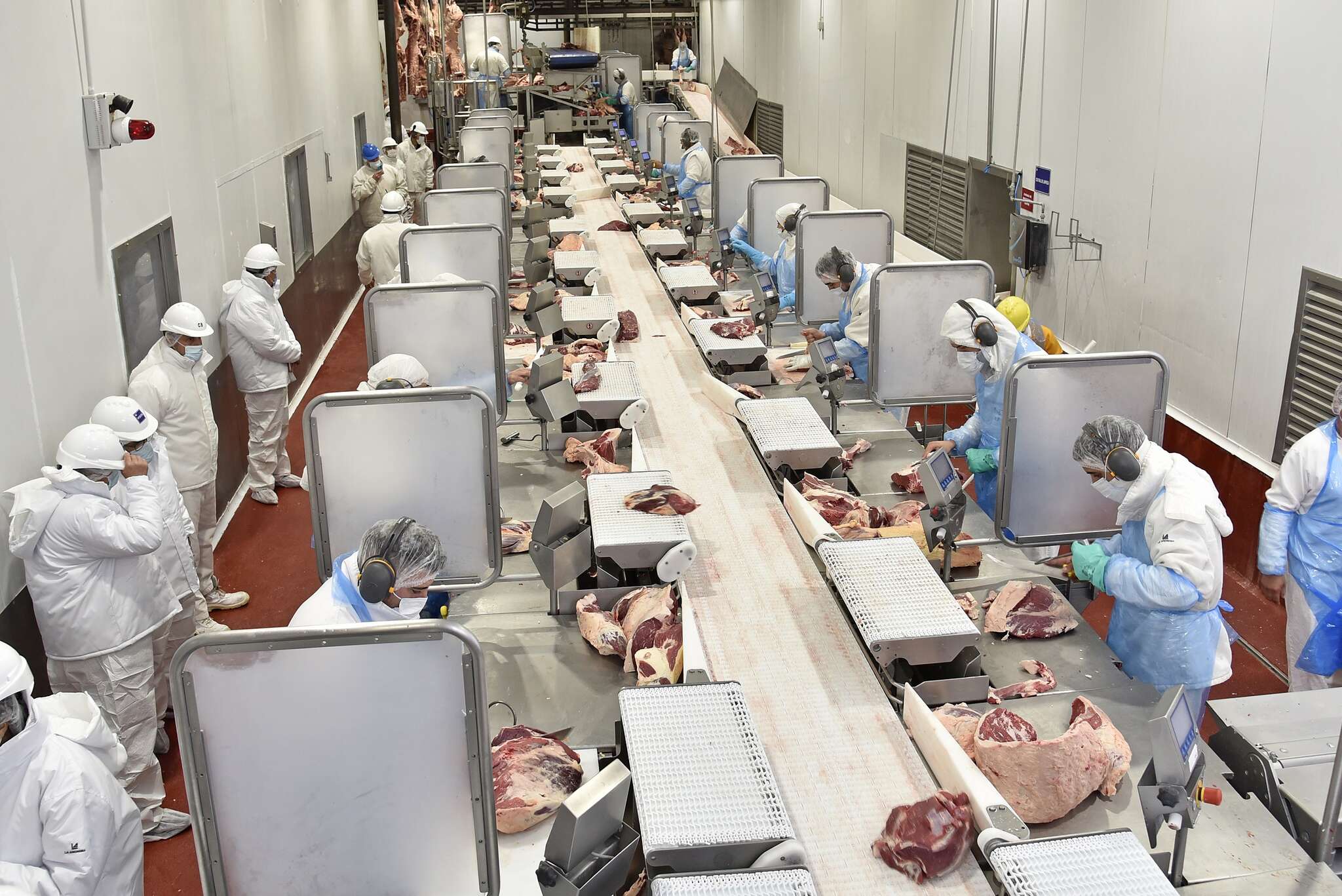 Ziliotto encabezó la inauguración de nuevas instalaciones en Pampa Natural