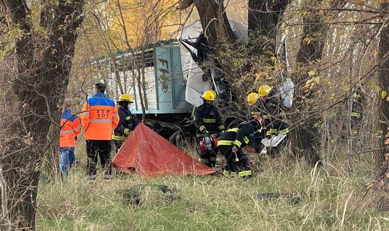 Murió un camionero en la Ruta 1 cerca de Pico