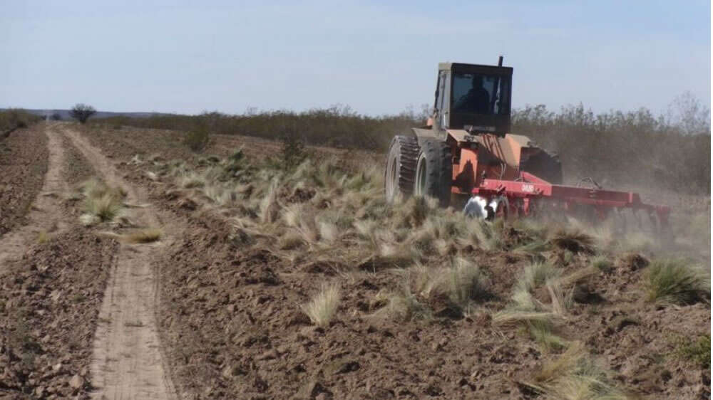 Para evitar incendios forestales la DPV mantiene  3.500 km de picadas cortafuegos
