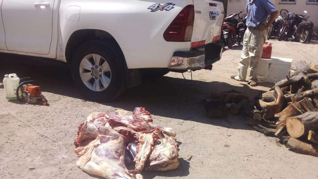 Delitos rurales: Realizaron procedimientos en Santa Rosa, Toay y Eduardo Castex