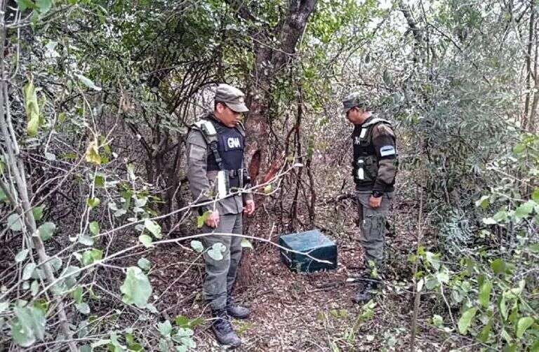 Chaco: Aparecieron 32 kilos más de cocaína a 60 metros de donde cayó la avioneta la semana pasada