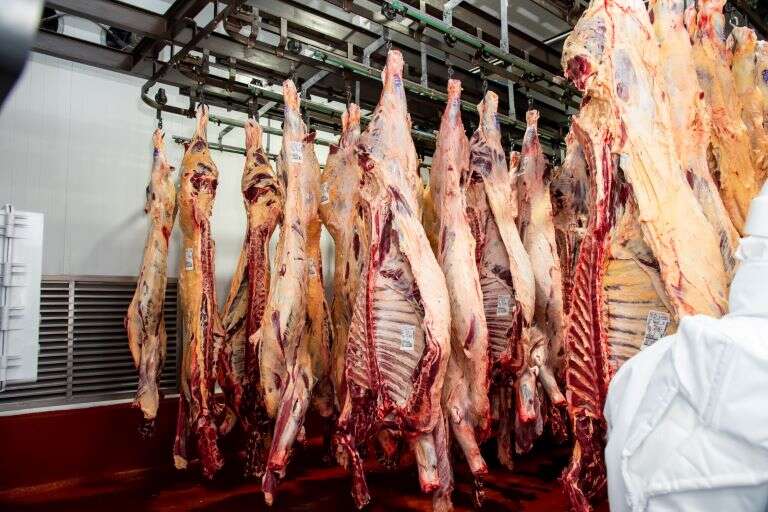 El Gobierno formalizó distribución de carne vacuna a exportar a Estados Unidos y hay cupo para frigoríficos pampeanos