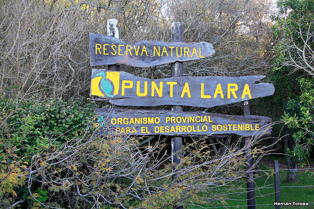 Preocupante incendio en la Reserva Natural de Punta Lara