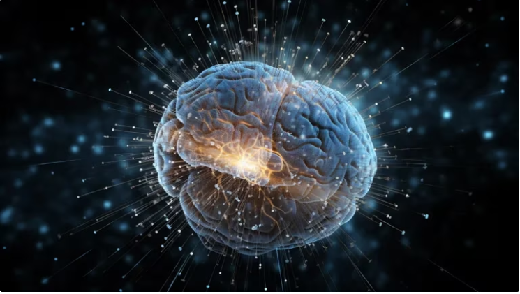 Crean el atlas más grande del cerebro que permitirá tratar y curar enfermedades mentales