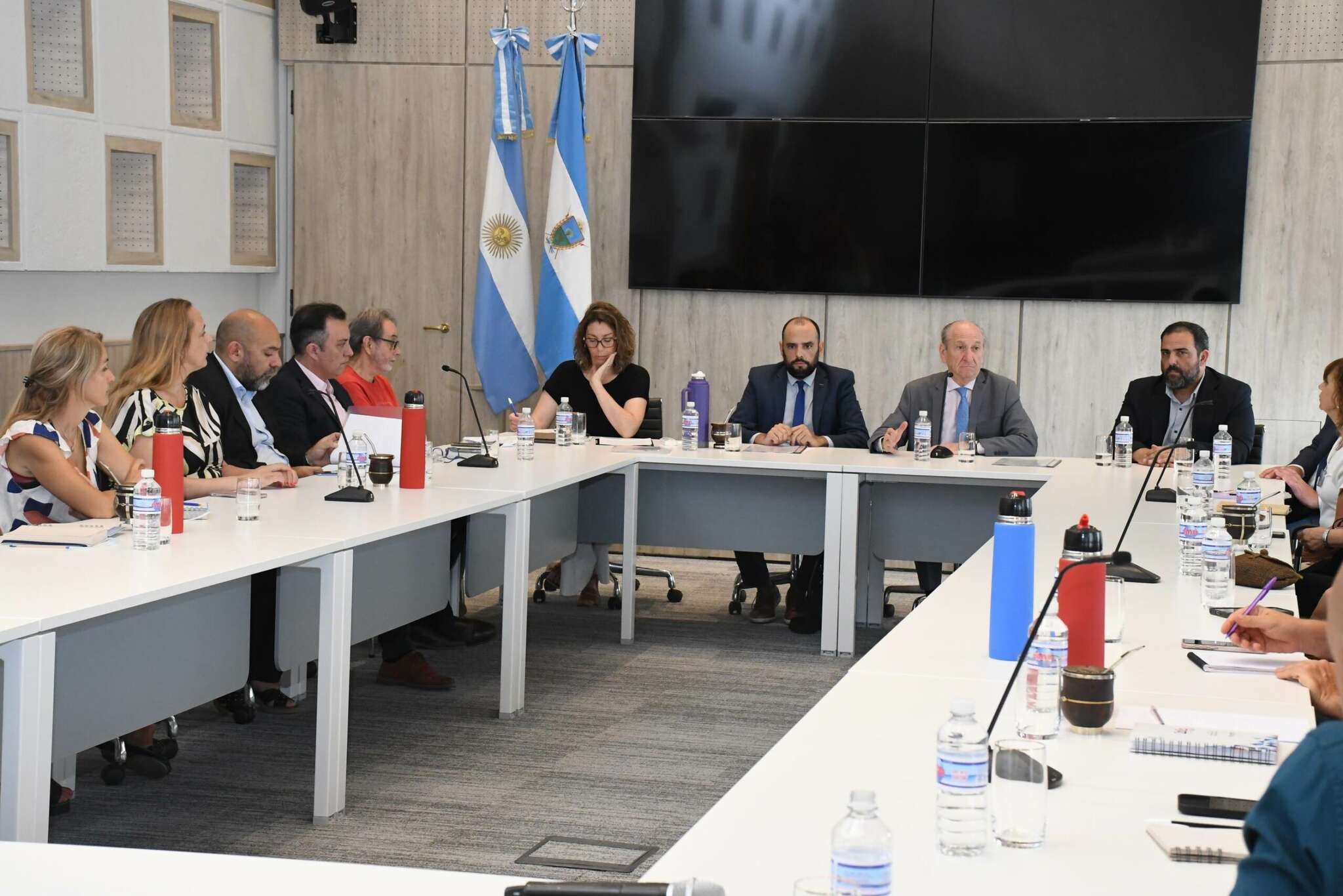 Salud mental: La Pampa rechazó las medidas desregulatorias de la Ley Ã“mnibus