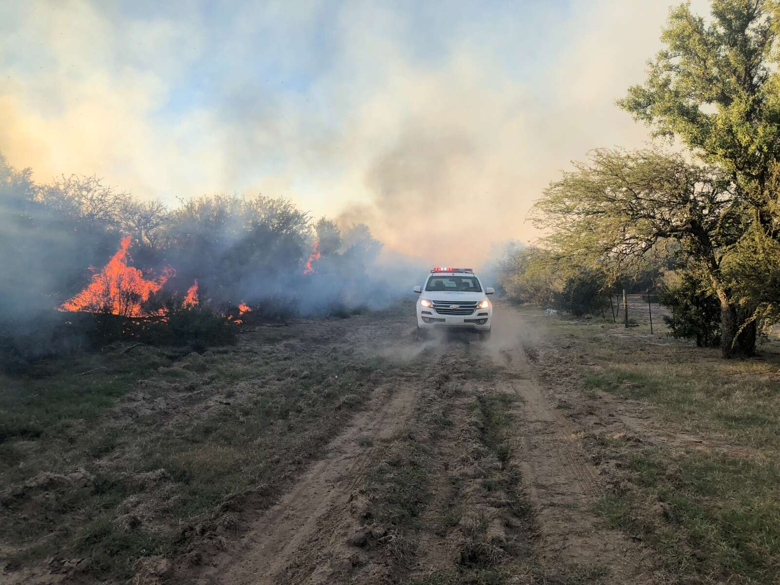 Picadas cortafuegos: Fuerte inversión de La Pampa