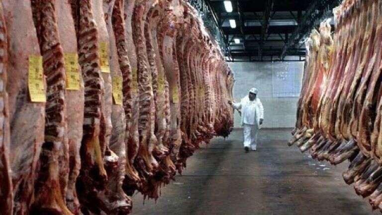 El Gobierno autorizó a exportar los 7 “cortes populares” de carne prohibidos durante el kirchnerismo
