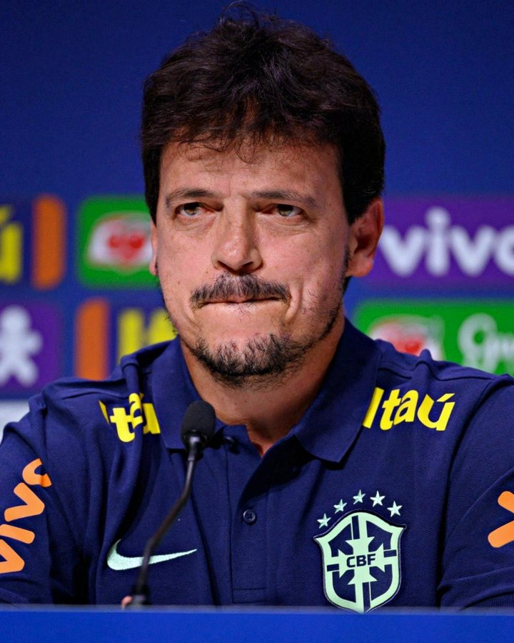 Fútbol: Brasil despidió a Diniz y no tiene DT de cara a la Copa Ãmerica