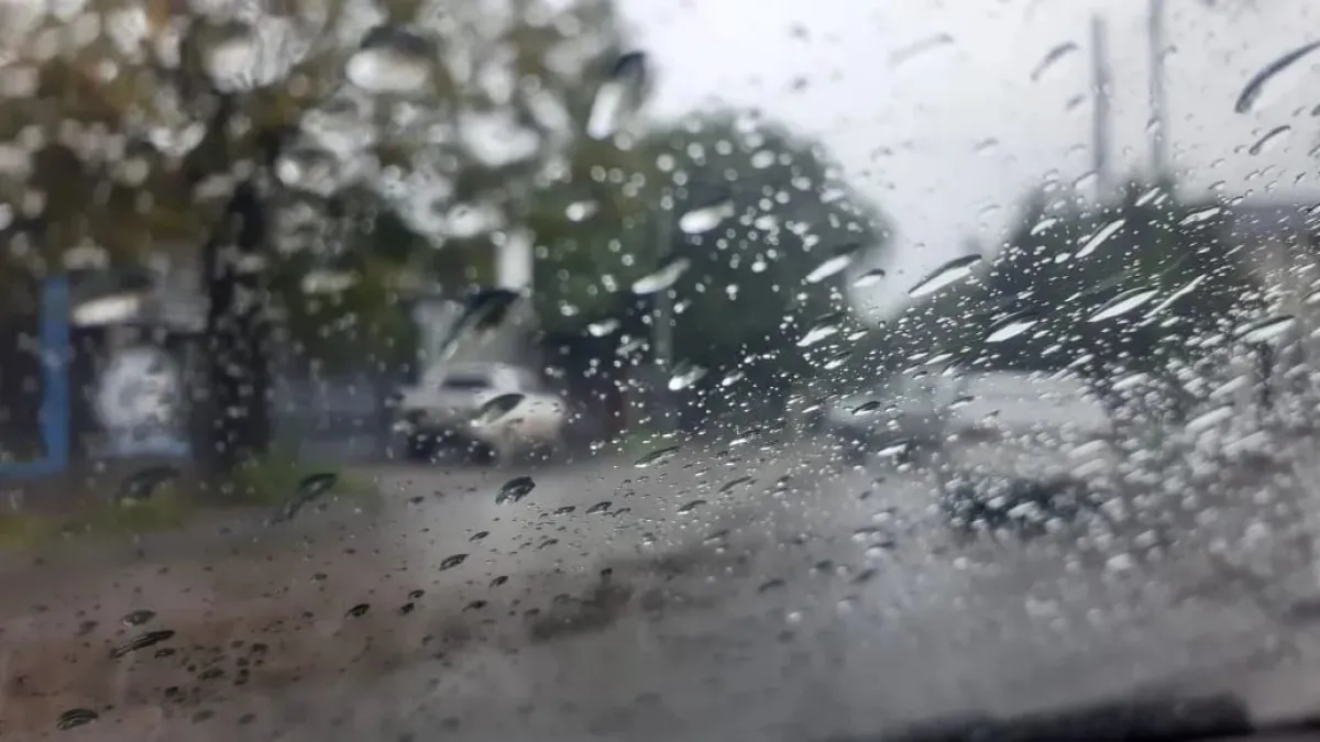 Registros dispares de lluvias en el sureste de La Pampa: En General San Martín llovieron 34 mm.