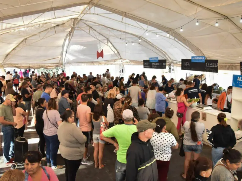 En abril abrirán el Mercado Concentrador