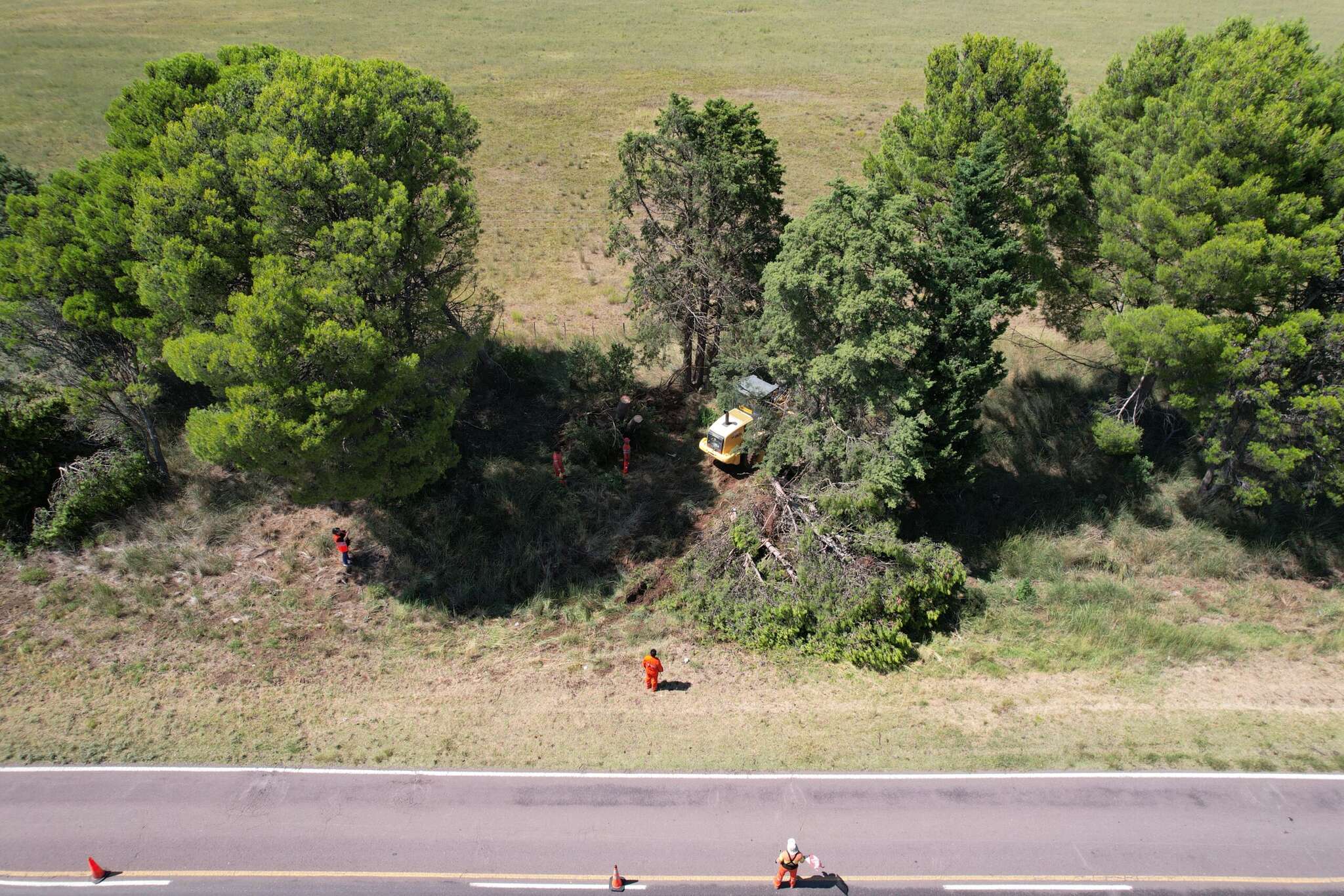 Vialidad Nacional despejó árboles caídos en la RN 152 entre General Acha y El Carancho