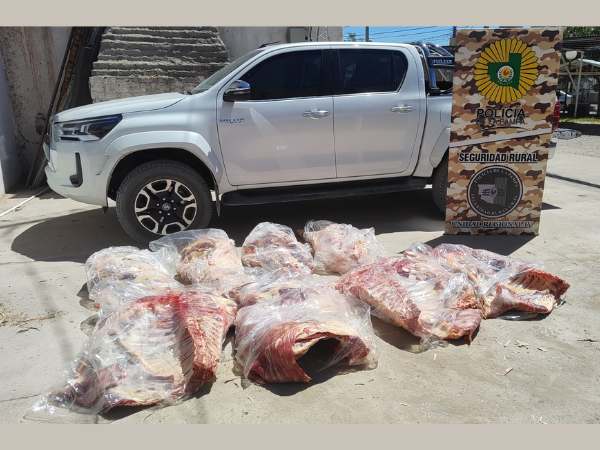 25 de Mayo: Transportaba más de 400 kg de carne, se dio a la fuga y se atrincheró en una chacra