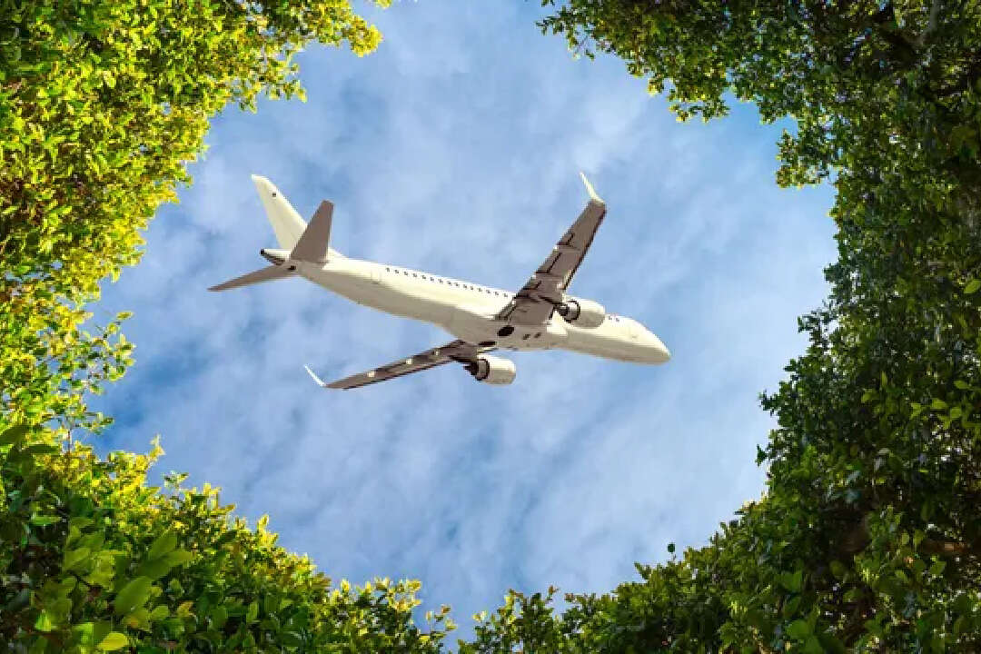Vuelos sostenibles: las aerolíneas amplían el abanico de acciones para reducir las emisiones de carbono