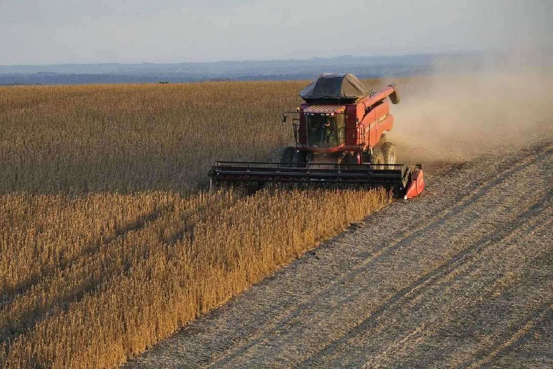 Después del default de Los Grobo: empresas del agro se mueven rápido para mostrar solvencia
