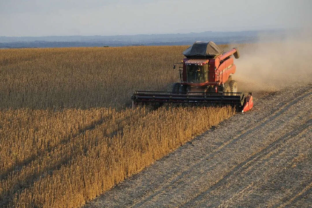 Problemas para el agro: Fix señala el riesgo financiero de otras grandes firmas