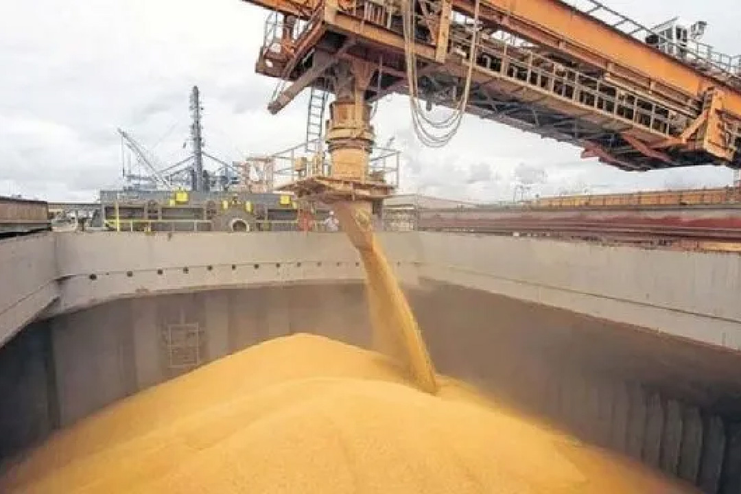 Gigante del agro anunció despidos a nivel mundial que afectarían a Argentina