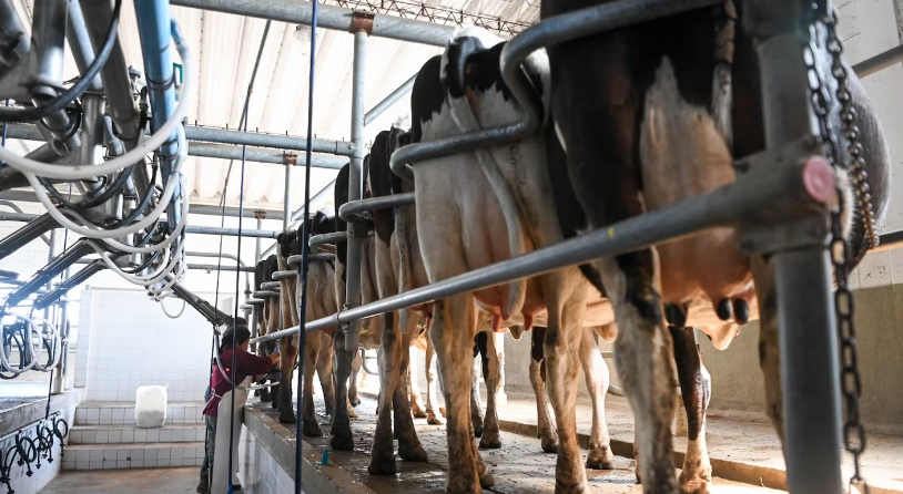 Señal de recuperación: la producción de leche creció 10,9% en el primer trimestre de 2025