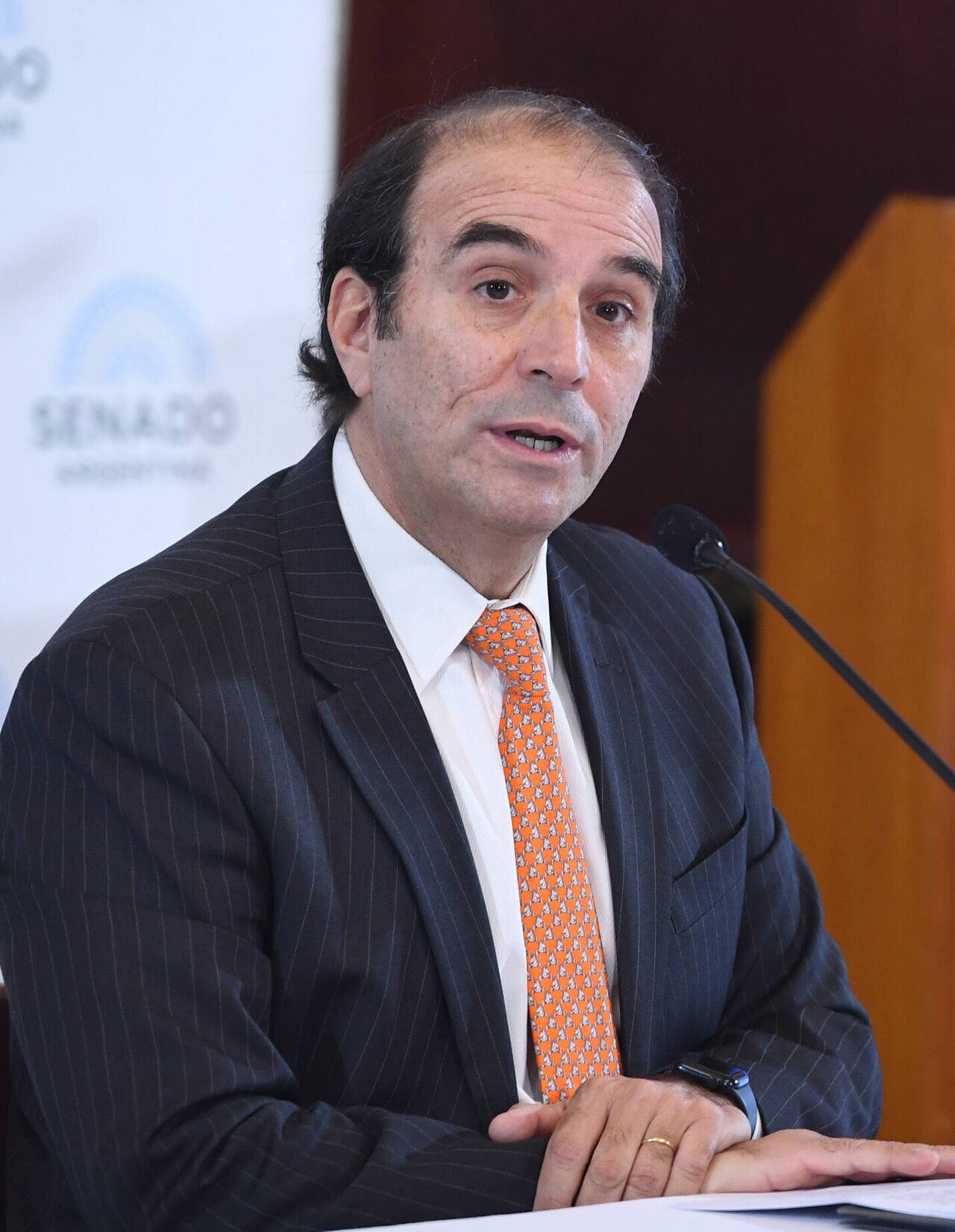 En un carta al Senado, Manuel García Mansilla denunció “errores, tergiversaciones y falsedades”