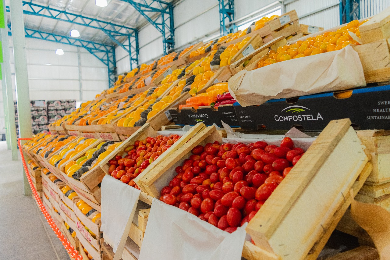 El Mercado Concentrador de Santa Rosa lanza super ofertas mayoristas para verduleros, gastronómicos y despensas