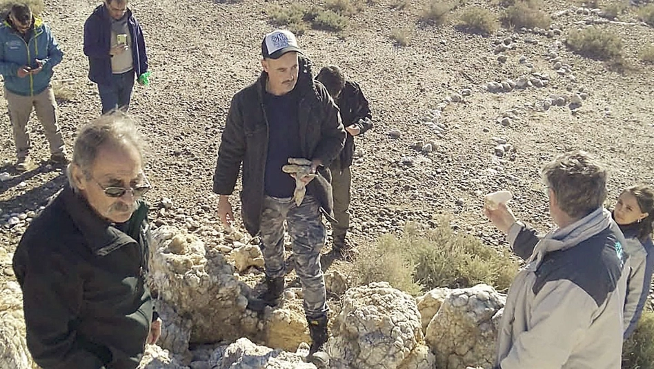 Exploran sitios fósiles en 25 de Mayo y proyectan un museo paleontológico