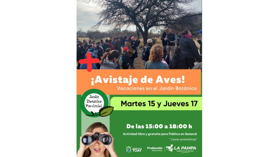 Avistaje de aves durante el receso de invierno