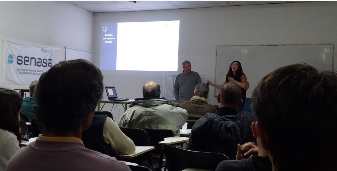 Brucelosis bovina: se explicaron avances del plan en establecimientos de La Pampa