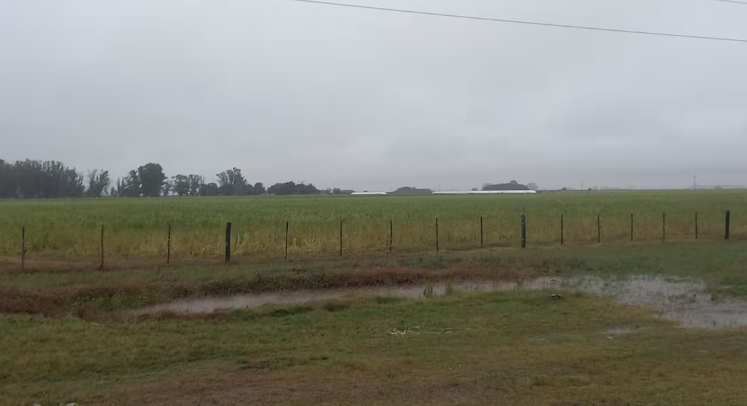 Lluvias normales y temperaturas más cálidas marcarán la primavera en el campo
