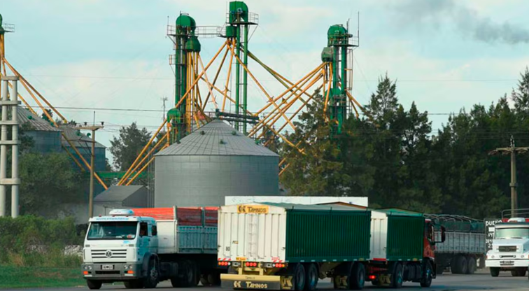 El flete de granos en Argentina es hasta un 30% más caro que en Brasil y EE. UU.