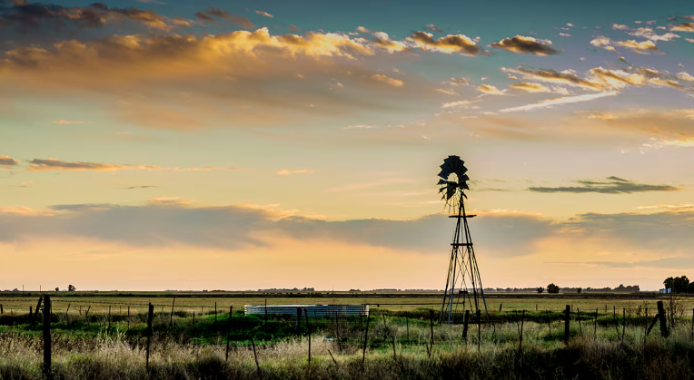 La agroindustria argentina, “parte de la solución” al cambio climático, hacia la cumbre mundial de la ONU