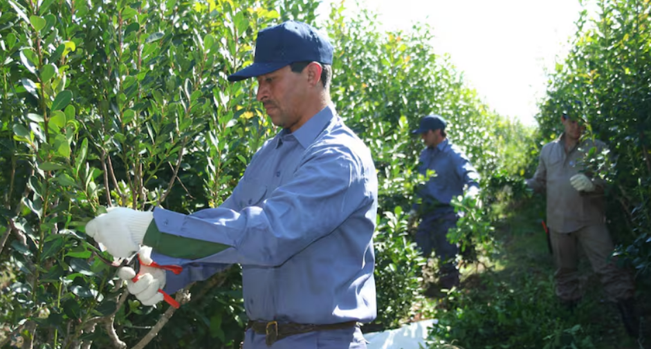 Una entidad del campo pidió previsibilidad y políticas para fortalecer a las economías regionales
