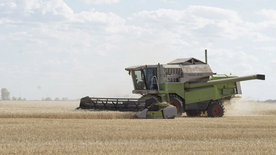 La Pampa cerró la cosecha fina con registros históricos de producción